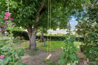A tree swing, mature landscaping, flowers, shade.