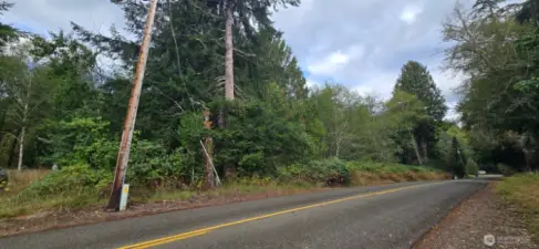 View from across the road looking towards 1357 road frontage. Driveway for 1351 is L of power pole.