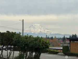 Seller phone picture of Mt Rainier view from deck.