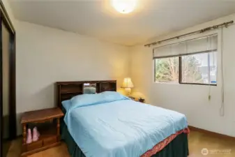 Light filled second bedroom