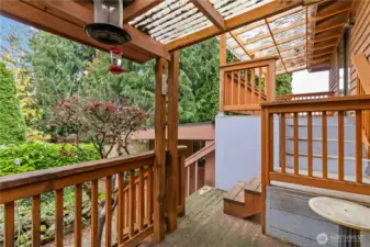 Covered multi-level deck offers a peaceful view of mature evergreens and garden landscaping