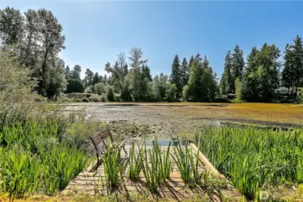 Peaceful paridise with ducks, birds and water sports like paddle boarding, kayaking & fishing.