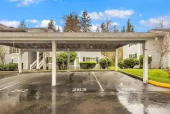 Designated covered parking spot #263 with another spot around the corner #207.