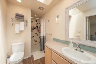 ...and standup shower!