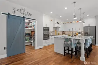 Large gourmet chef's kitchen with XL island and walk-in pantry.