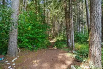 Trails take you straight to the pond
