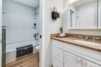 Hallway bathroom-main