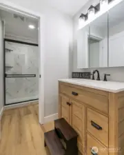 Bathroom- lower level