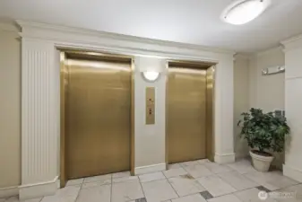 Elevators make it easy to move in, bring home groceries, and live your best stairs-free life.
