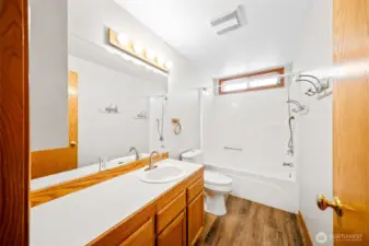 Shared main floor bath with a window to let the light in