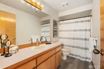 Downstairs Full Bath