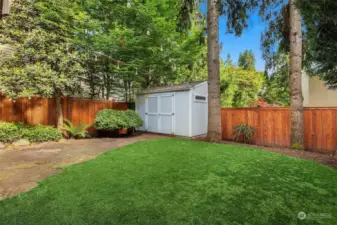 Large fully fenced backyard and patio area