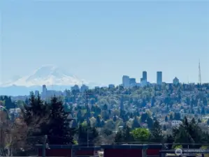 View from the rooftop deck.