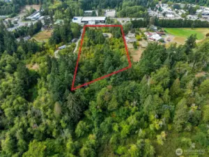 Red line is approximately where property line is.