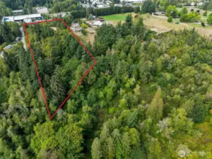 Red line is approximately where property line is.