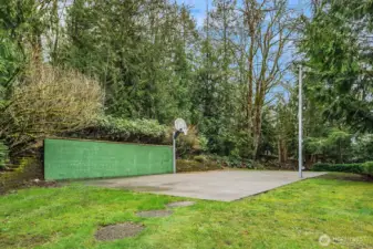 Sport court with basketball hoop.