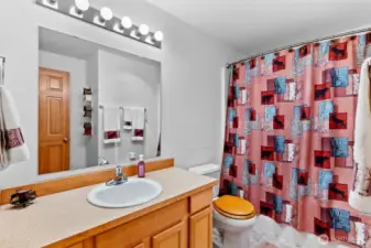 Guest full bathroom