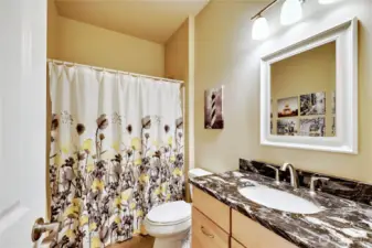 Main Floor Full Guest Bath