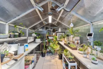 Inside Greenhouse