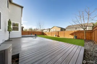 Enormous deck and level back yard