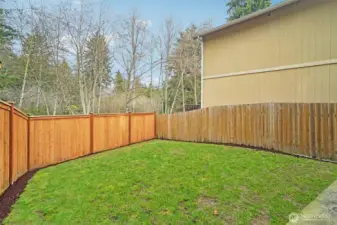 Back yard fully fenced