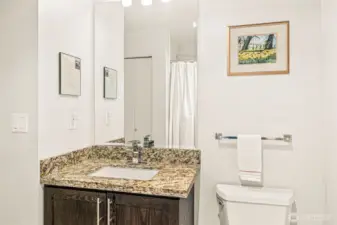 Well-lit full bath has a granite top vanity with handsome fixtures.