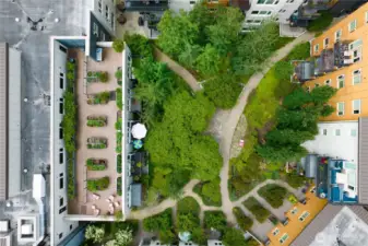 Overhead view of the lush green courtyard.