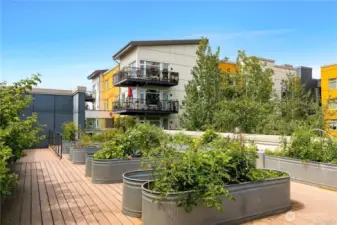 Community gardens are a plus.