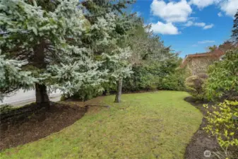 Mature trees and shrubs provide natural privacy barrier.