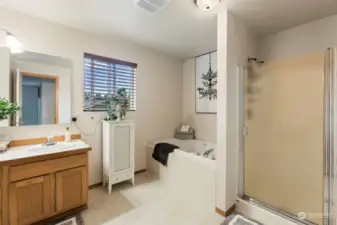 Primary bath with soaking tub & shower