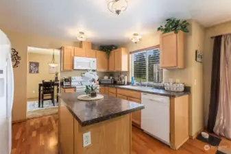 Kitchen has s spacious island  with tons of storage