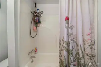 Main floor bathtub/shower combo.