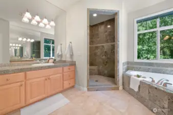 Spa-like primary bath offers an incredible stone tiled shower.