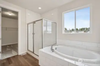 Primary Bath - Picture not of actual home