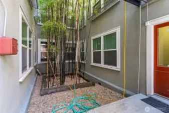 Courtyard close up