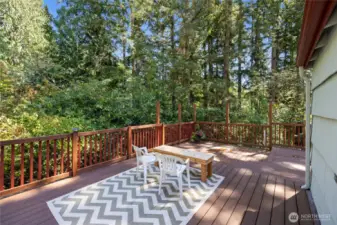 Bask in the shade on this side patio offering close to 400 sq ft of outdoor living space!