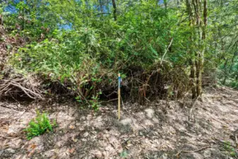 This is the West property line of Parcel A (1.55 acres) and beginning of Parcel B (2.47 acres).