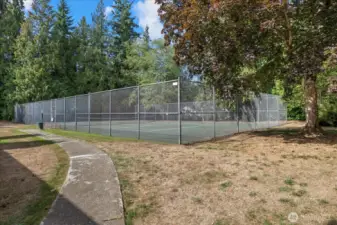 Athletic court.