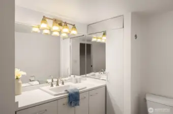 Lower level full bath