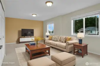 Virtually staged bonus room on the upper level. Great for another living space or.....