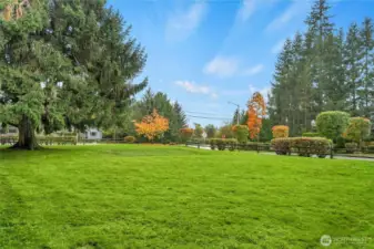 Amazing community park at the entrance to the cul-de-sac. A great space for summer parties!
