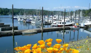 Port Ludlow Marina