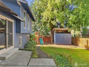 Back yard with shed