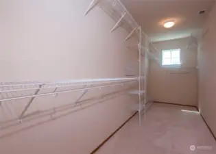 Primary walk  in closet is huge and features a window.