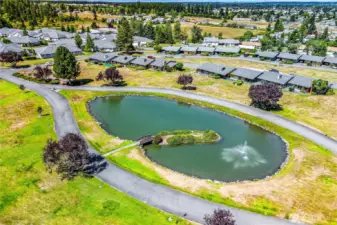 Pond View
