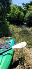 Peaceful and picturesque, this canal-side launch spot invites spontaneous kayaking adventures right from your own backyard. Surrounded by lush greenery and frequented by graceful waterfowl, it’s a low-maintenance outdoor retreat where the rhythms of nature set the pace.
