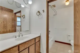 Primary bath with an adjoining tub/shower combo and toilet.