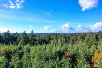West facing Olympic Mountain views.
