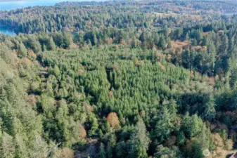 Entire 15 Acres facing Southeast.