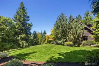 Gorgeous rolling Acreage setting just two minutes to downtown Issaquah set up against Tiger Mountain